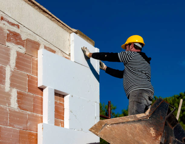 Best Cellulose Insulation in Lyndhurst, VA